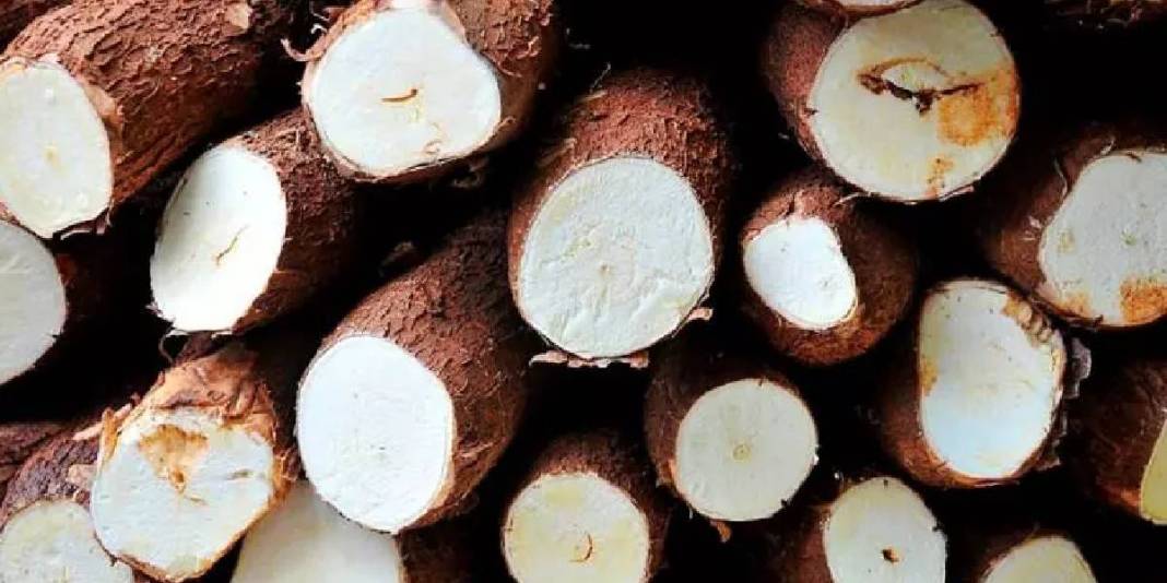 Birçok ülke ekmek yerine bunu yiyor! Hem daha sağlıklı hem lezzetli: Yiyen doktor yüzü görmüyor 1